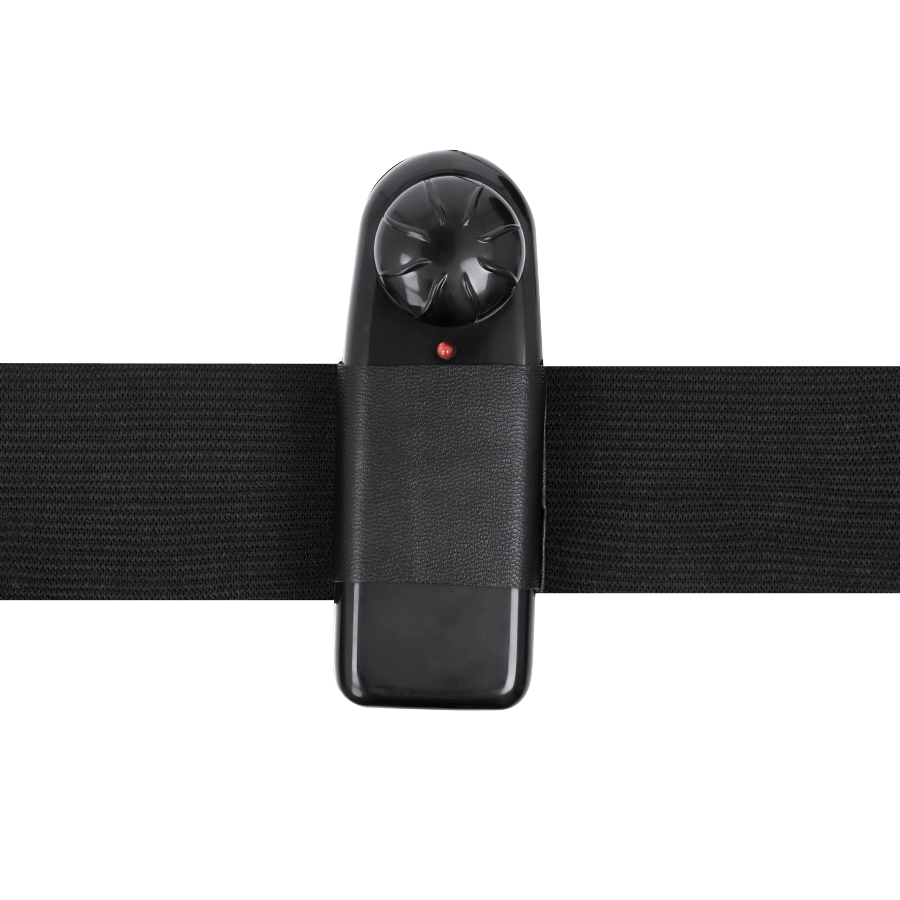 HARNESS ATTRACTION - ARNÉS WALTER CON VIBRACIÓN 15.5 CM -O- 3.7 CM